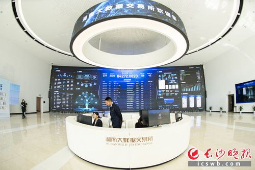 點數成 金 湖南大數據交易所入駐數商突破430家