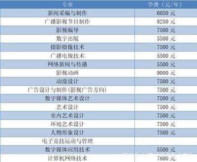 湖南省計(jì)算機(jī)、軟件類各高職院校介紹